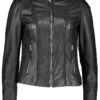 Lederjacke "Pegasus" In Schwarz -Mode Damen caminari lederjacke pegasus in schwarz